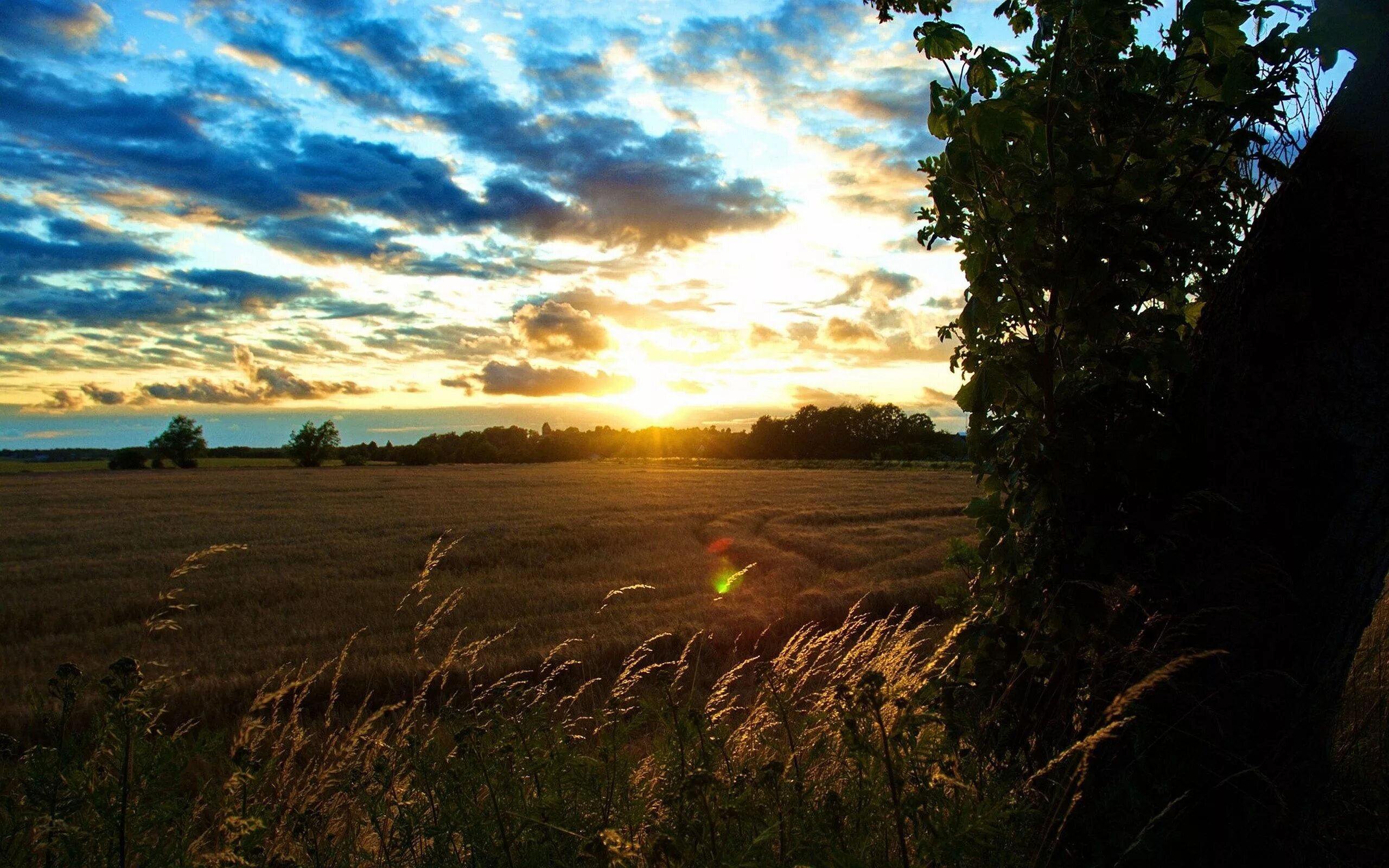 Утро солнце ветер небо. Вечер в деревне. Летний закат в поле. Поле вечером. Русское поле рассвет.