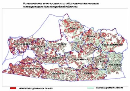 Калининградская область плотность населения