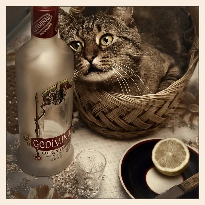 одинокий алкоголик. мужчина с виски. выпьем картинки. выпью с горя. выпьем добрая подружка бедной юности моей.