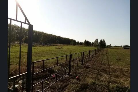Погода в краснозерской поселок садовое