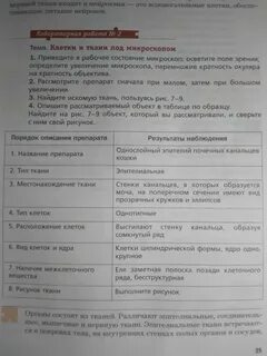 Лабораторная работа по биологии 8 класс учебник