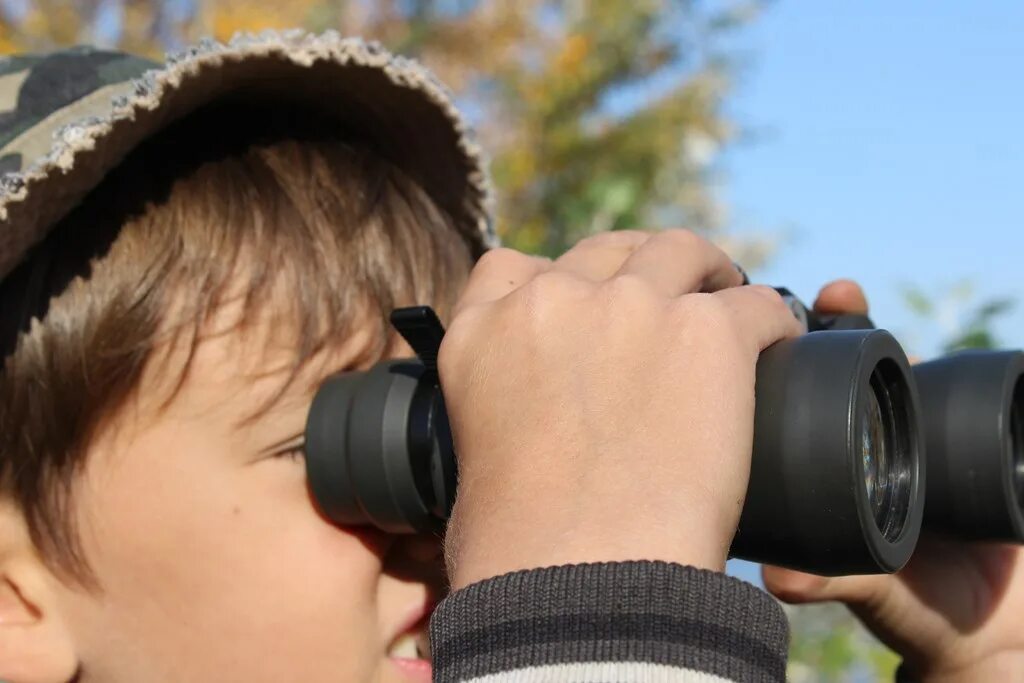 кружки юных натуралистов. кружок юннатов. кружки юный натуралист. юный турист. кружки в музее.