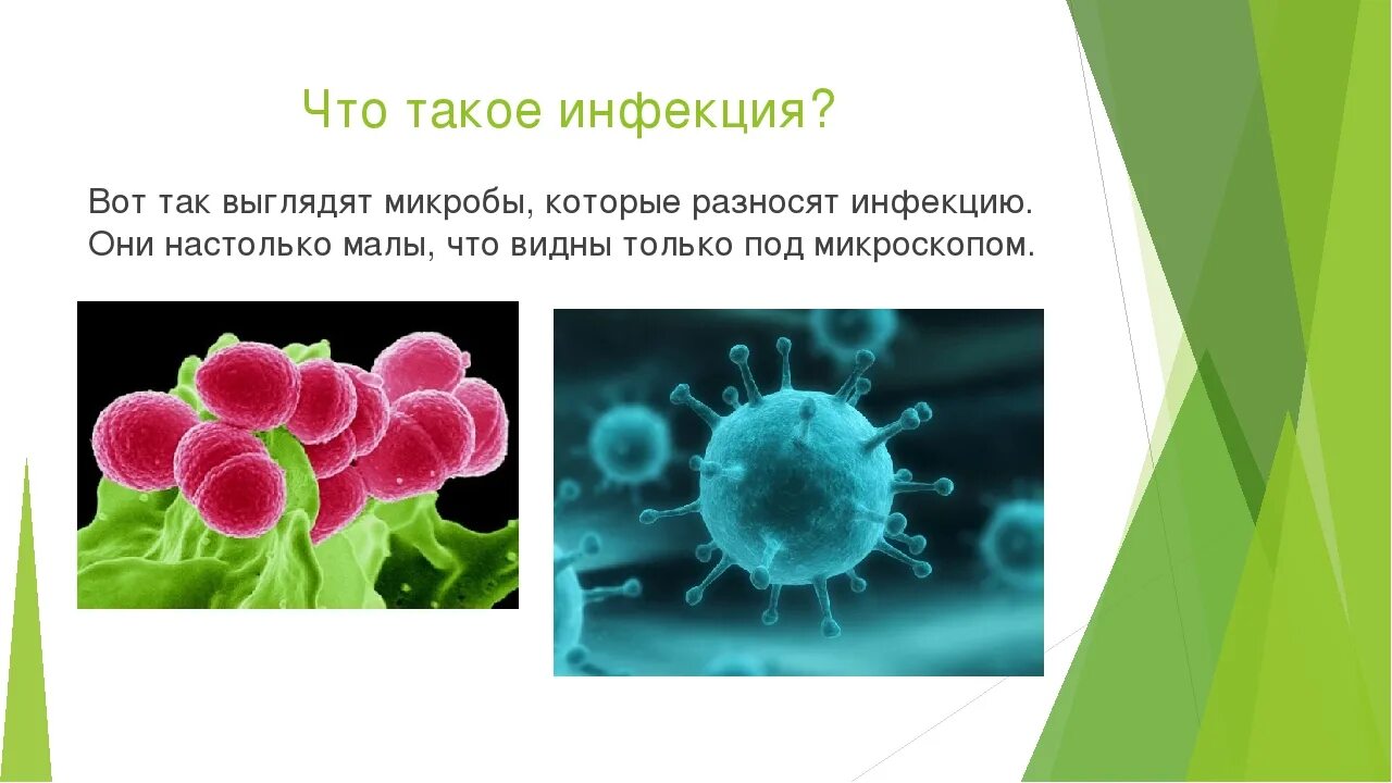 Чем отличается микробы. Инфекция. проект для дошкольников микробы. вирусы и бактерии проект. вирусы и бактерии презентация.