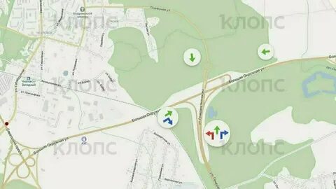 Сельма светлогорск калининград
