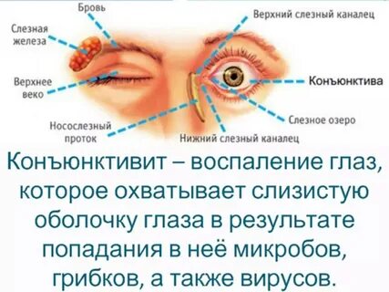 Закрытие века при ярком свете