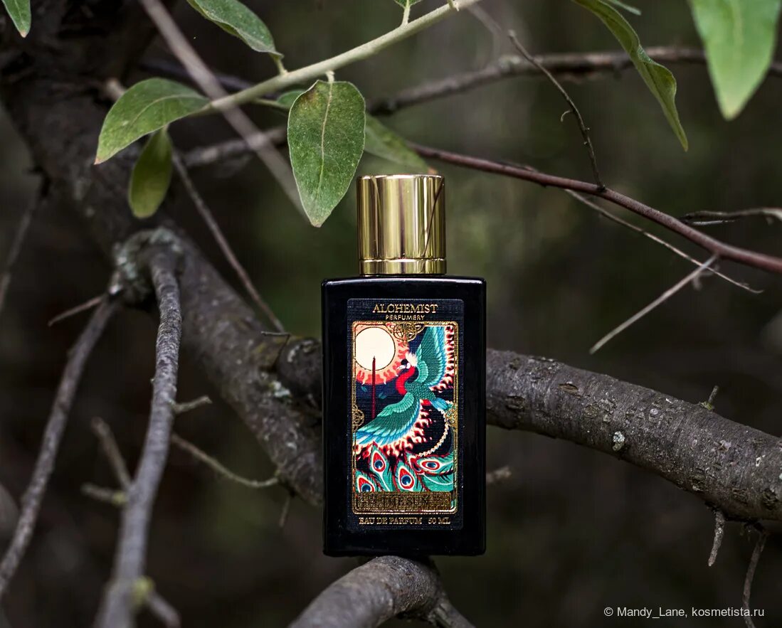 Духи alchemist sun. Alchemist leather cloak парфюм. Парфюм alchemist коллекция таро. Alchemist elements "herbarium". Парфюм alchemist tarot.