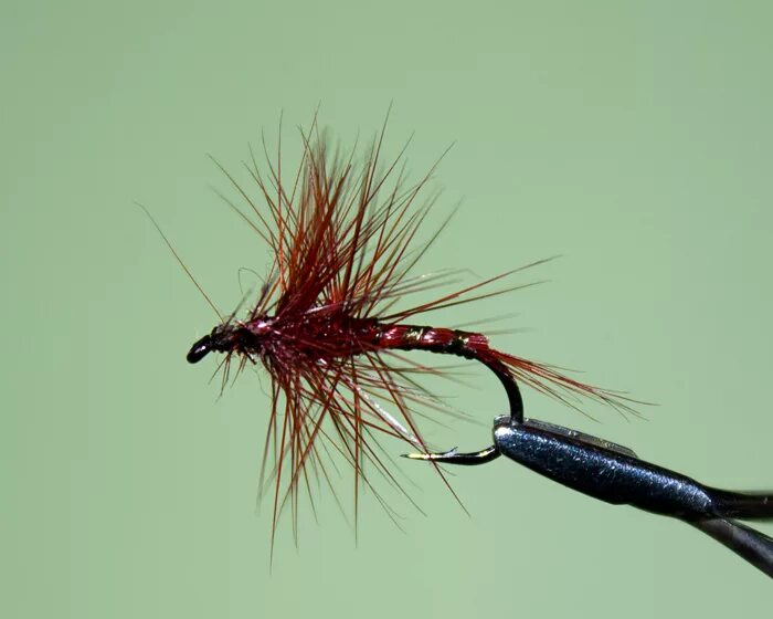 мушки черная речка грузовые. свободноживущий ручейник мушка. мушка слепень. мушки на форель. мушка река.