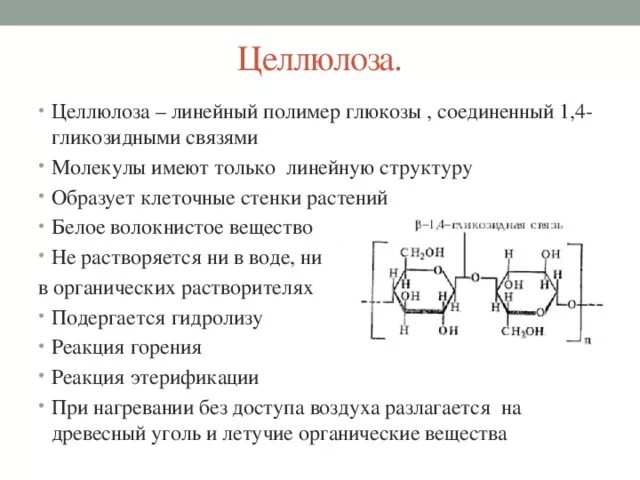 Целлюлоза вода глюкоза. Функции целлюлозы в химии. Строение полимера целлюлозы. Свойства целлюлозы биология. Строение целлюлозы характеристика.