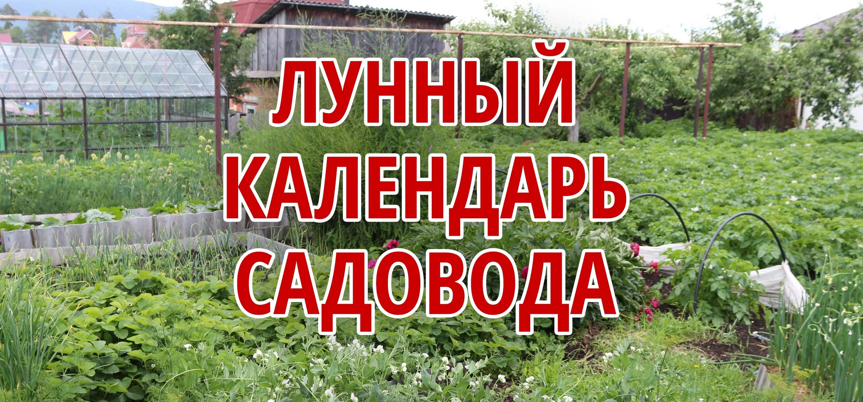 Лунный календарь огородника июль. Календарь дачника огород. Лунна садовода и огородника. Огородник на участке в апреле.