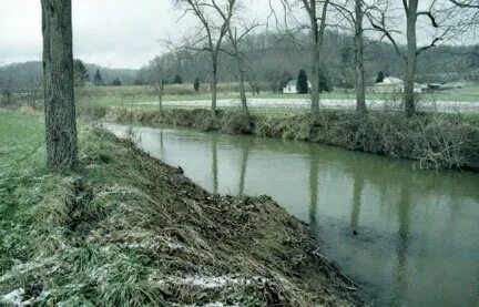 East branch