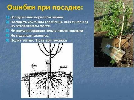 Нужно ли при посадке