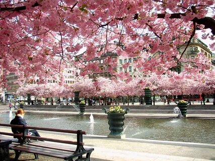 King's garden