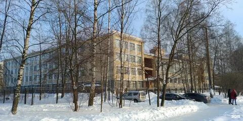 Мечникова 5