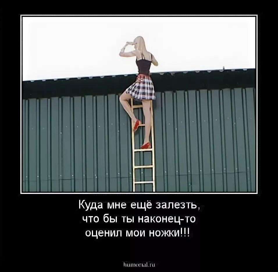 Где net