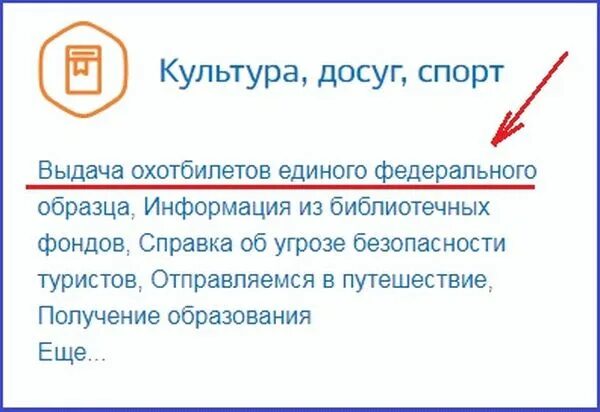 Купить билет через госуслуги