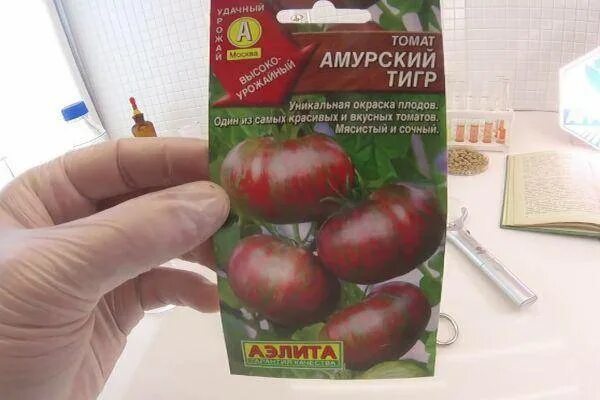 Томаты сорт амурский тигр. Томат розовый сибирский тигр характеристика. томат амурский тигр. томат розовый сибирский тигр. томат тигровый полосатый.