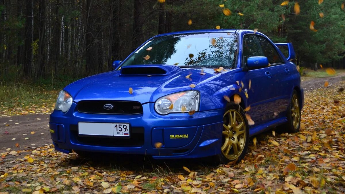 Субару импреза конь. Wrx конь. Subaru impreza wrx 2003. Субару импреза конь 2 двери. Subaru impreza wrx конь.
