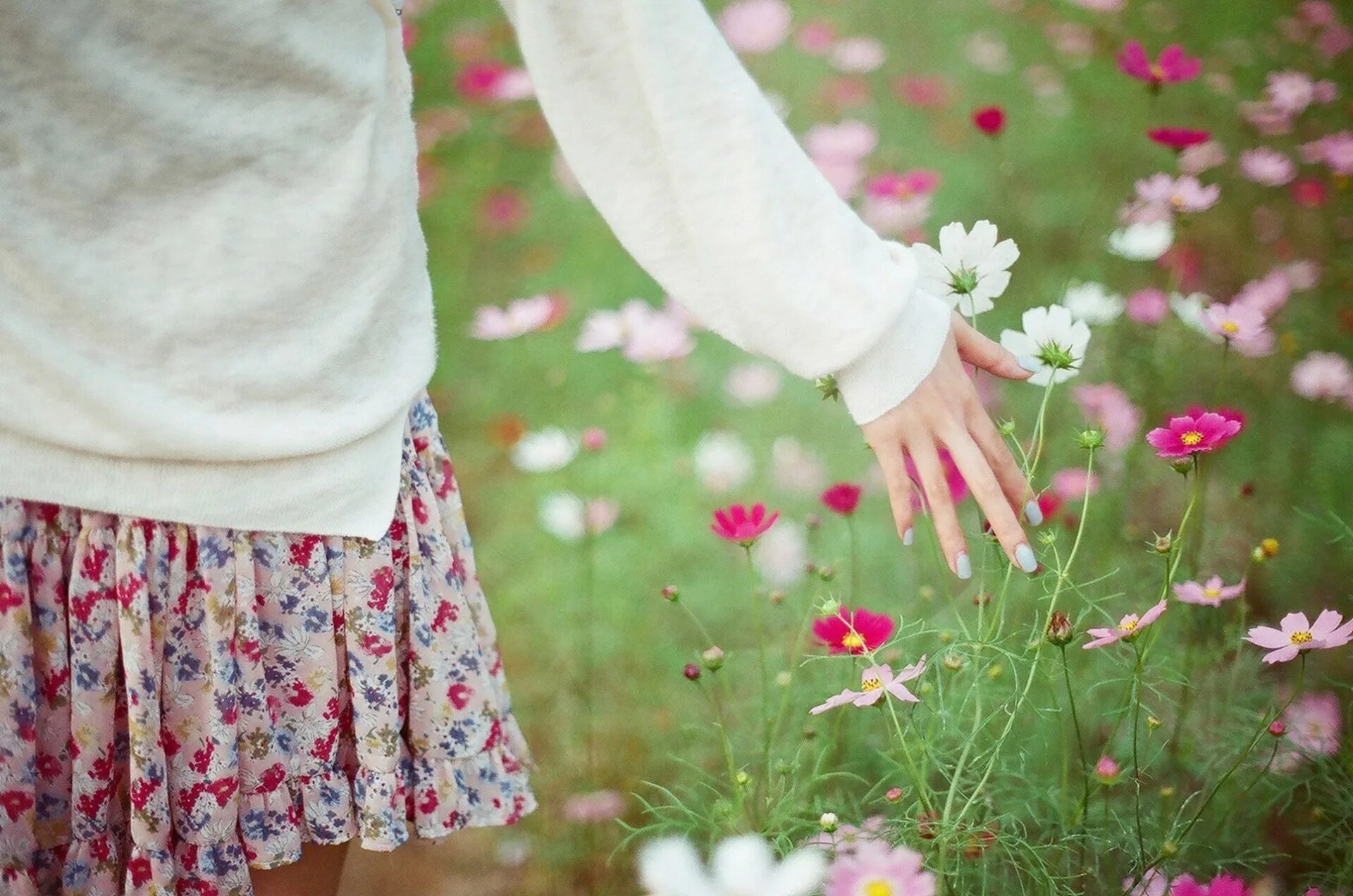 Руки цвета весны. Полевые цветы в руках. Девушка с букетом полевых цветов. Фотосессия в ромашках. Девушка с цветами в руках.