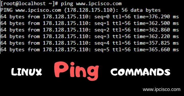 Пинг. Команда Ping в Linux. Бесконечный пинг с линукс. Большой пинг.