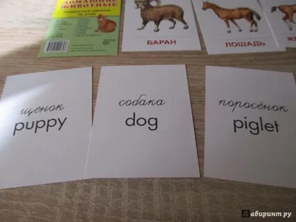 Карточка 16