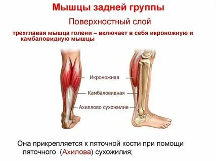 Почему болят нижние ноги