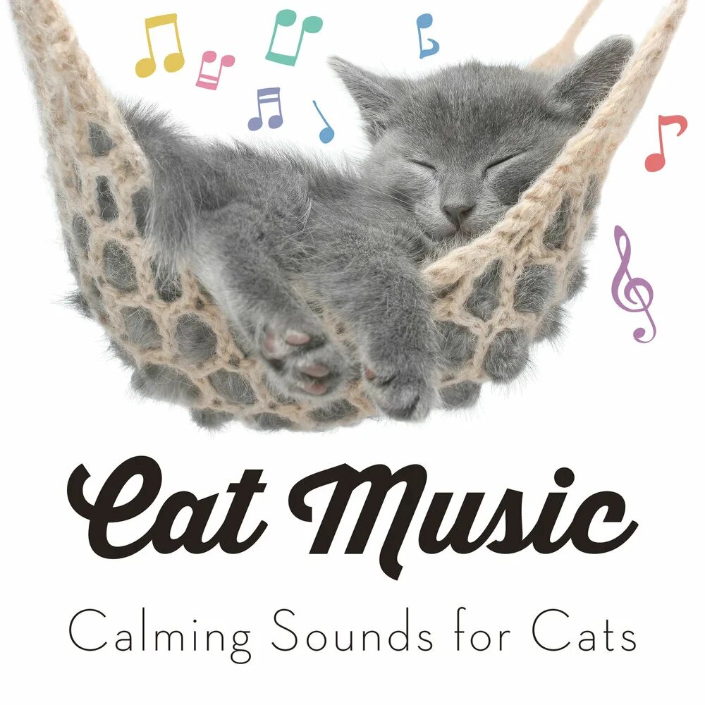 Кэт Мьюзик. Cats музыка. Calming Music for Cats. Музыка my Cat. Музыка под кошку