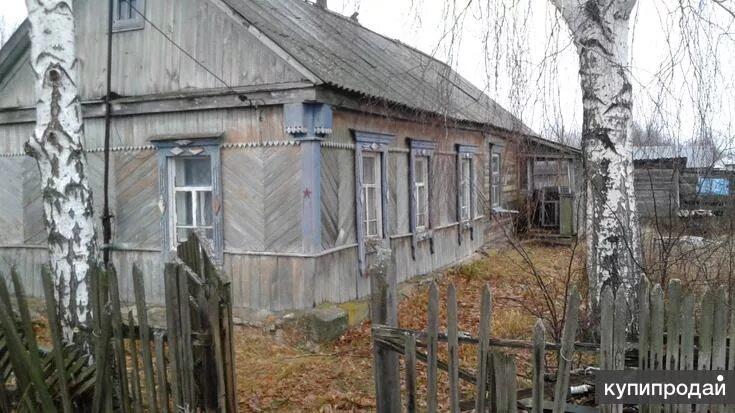 Марьевка тамбовская область. Марьевка тамбовская область. Сампур тамбовская область. Марьевка тамбовская область. Марьевка тамбовская область.