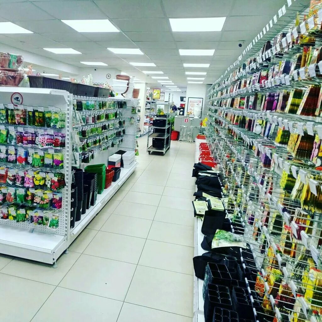 Маркет садовая. Маркетплейс на мясницкой. Магазин семян бухарестская. Центр садовода оренбург. , 60 фото.