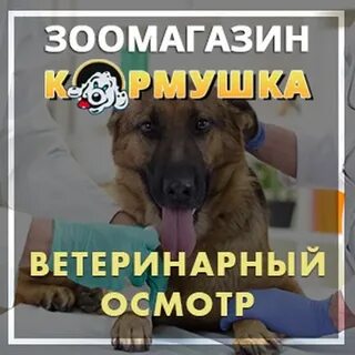 Ветеринар орел
