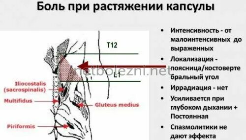 Болит в левом боку под ребрами спереди. Болит справа под рёбрами спереди. Боль с левой стороны спереди. Боль слева под ребрами сбоку спереди. Ноющая боль в левом ребре спереди