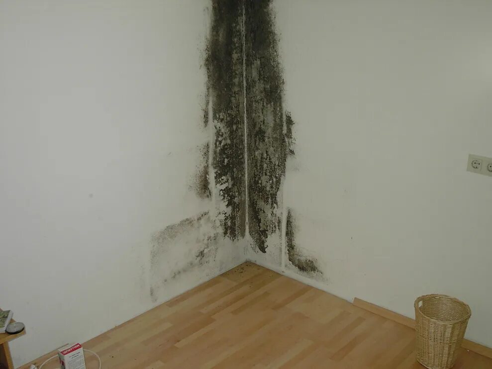 из чего состоит гипсокартонный лист. вреден ли гипсокартон. вреден ли гипсокартон. гипсокартон вред. вреден ли гипсокартон.