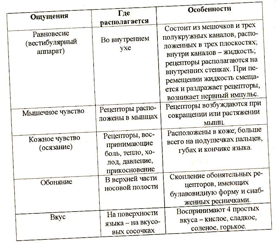 Органы чувств человека строение и функции таблица. Органы равновесия, кожно-мышечное чувство, обоняние и вкус. Таблица по биологии органы чувств строение функции. Органы равновесия осязания обоняния вкуса таблица. Таблица по биологии анализаторы