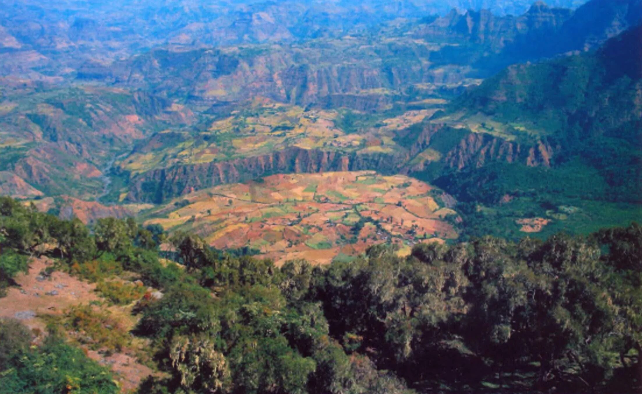 эфиопия кедус