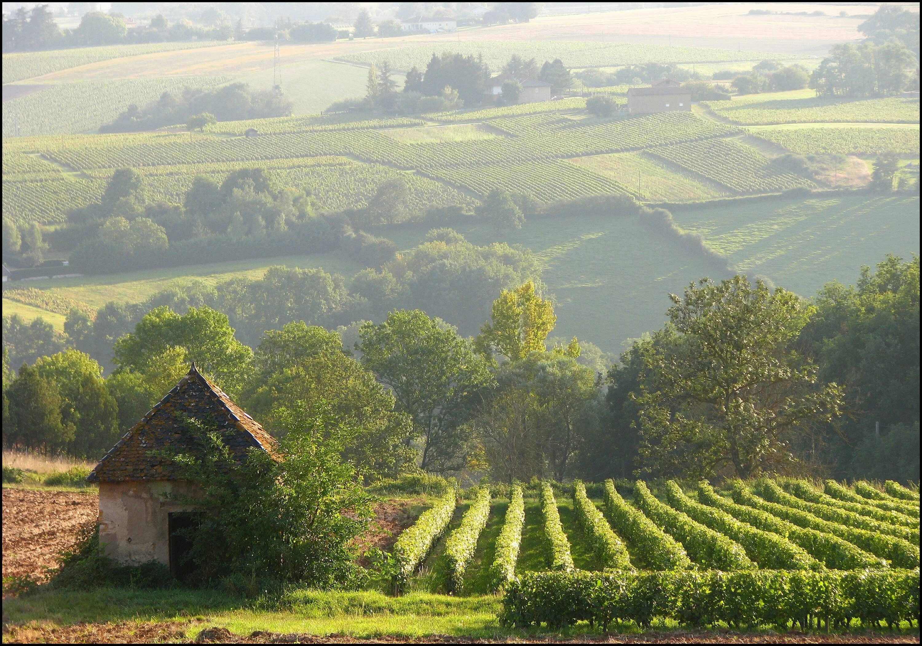 Village countryside. Провинция Прованс Франция. Прованс Франция виноградники. Юг Франции Прованс. Провинция Прованс виноградники.