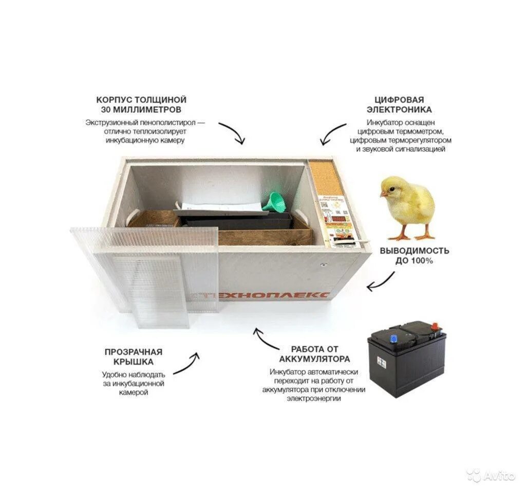 Инкубация яиц в инкубаторе блиц норма 72