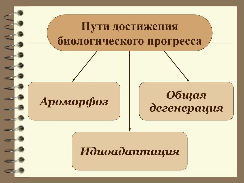 Пути достижения биологического прогресса общая дегенерация