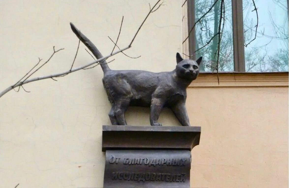 Петербург кошке памятник. Памятник елисею и василисе в санкт-петербурге. Петербург кошке памятник. Памятник котам в питере. Памятник кошкам блокадного ленинграда в санкт-петербурге.