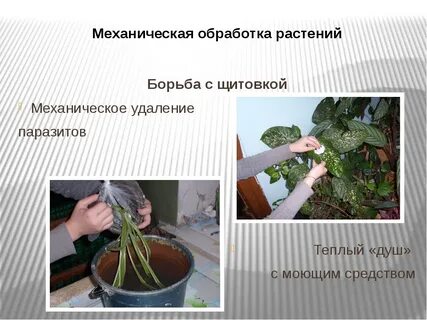Механические способы борьбы