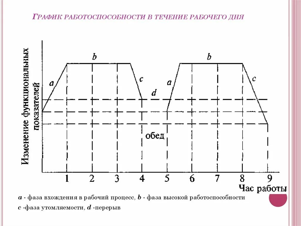 Работоспособность изменяется в течение. График динамики работоспособности в течении рабочего дня. Фазы работоспособности схема. Фазы динамики работоспособности. Кривая работоспособности фазы.