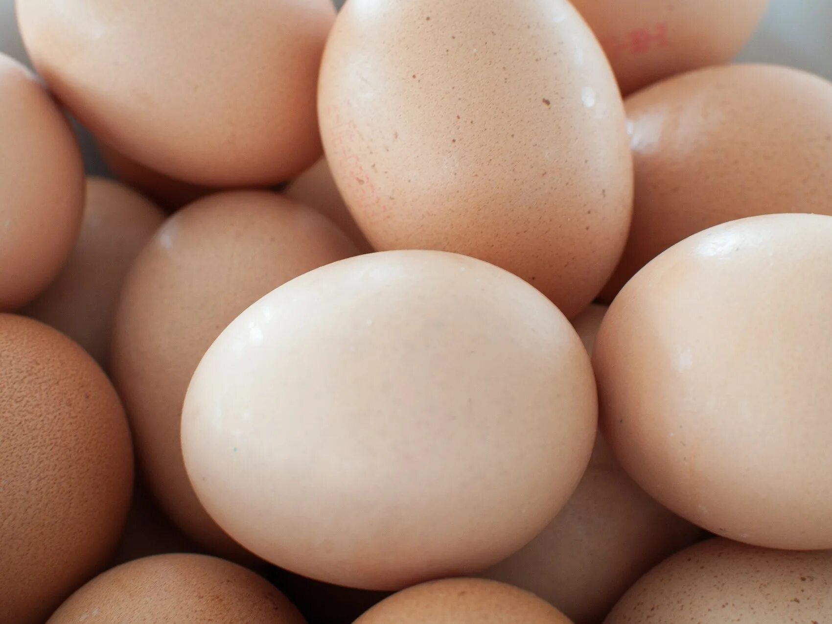 Яйцо. Яйцо куриное. Яйцо домашнее. Яйца фото. Кремовые яйца