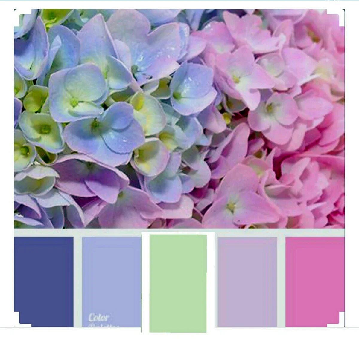 Сочетание с фиолетовым. Pantone 18-3838 ultra violet. Пастельные цвета палитра. Цветовые палитры пурпл. Розово фиолетовая палитра.