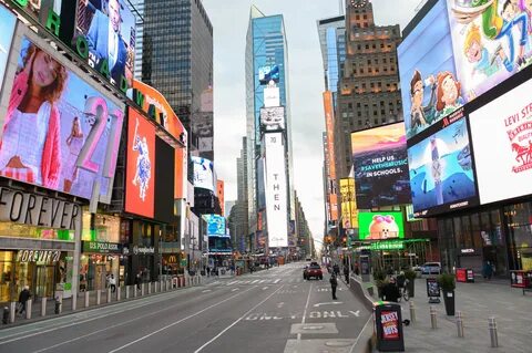 New york live