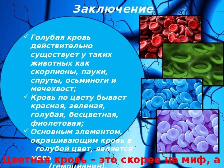 Каких людей называют голубыми. Каких людей называют голубыми