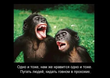 Не хочу учиться хочу жениться какое действие
