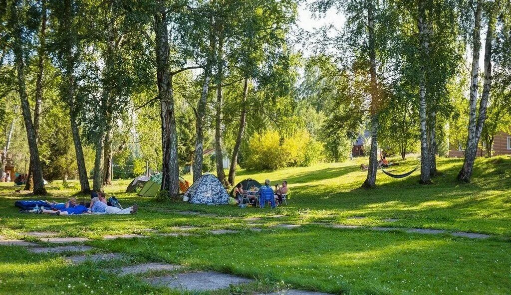 Туркомплекс на Алтае Березка. Турбаза Березка горный Алтай. Лагерь Березка озеро ая. Турбаза Березка горный Алтай озеро ая. Березка ая