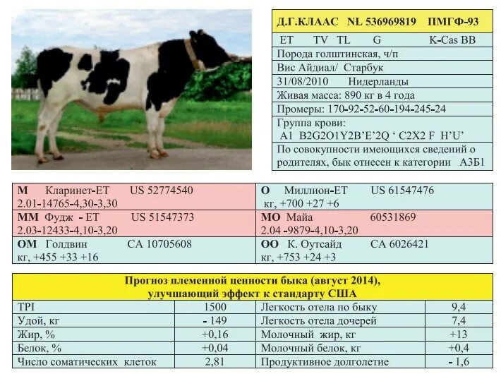 Порода КРС голштины. Голштинская порода Быков вес по месяцам таблица. Вес Бычков по возрасту таблица. Таблица веса голштинской породы телят. Прирост теленка