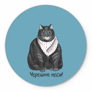 Неси сука