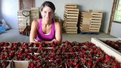 Какой продажей можно заняться