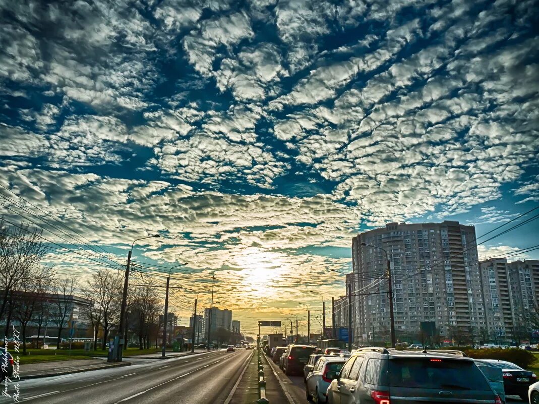 Спб пр маршала. Проспект Маршала Жукова. Проспект Маршала Жукова Питер. Проспект Жукова Москва. Маршал Жуков проспект.