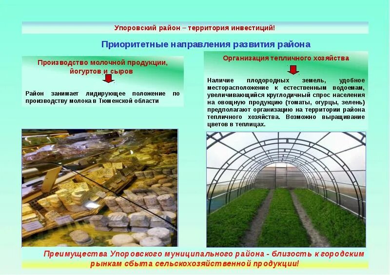 Лидирующие позиции в теплицах какие сельскохозяйственные